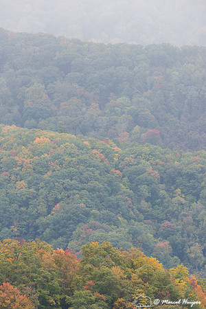 Fall colors and fog, Great Smoky Mountains, North Carolina, USA