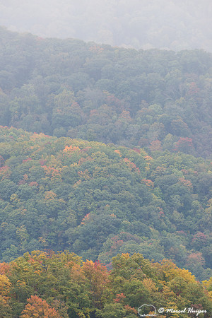 Fall colors and fog, Great Smoky Mountains, North Carolina, USA