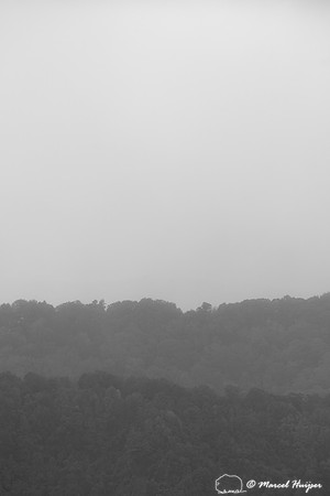 Fall colors and fog, Great Smoky Mountains, North Carolina, USA