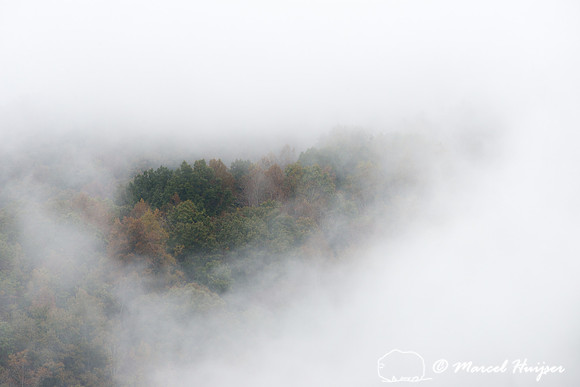 Fall colors and fog, Great Smoky Mountains, North Carolina, USA