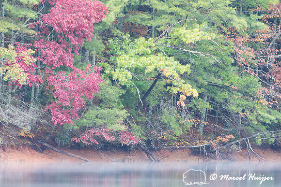 Fall colors and fog, Great Smoky Mountains, North Carolina, USA