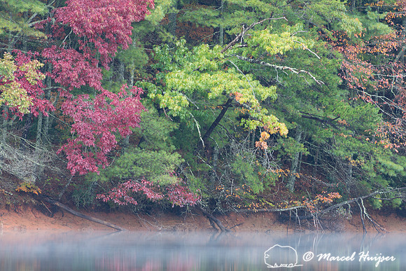 Fall colors and fog, Great Smoky Mountains, North Carolina, USA