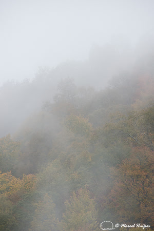 Fall colors and fog, Great Smoky Mountains, North Carolina, USA