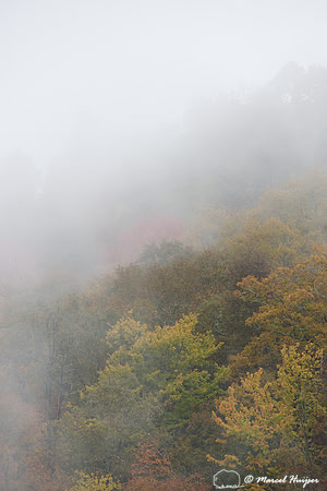 Fall colors and fog, Great Smoky Mountains, North Carolina, USA
