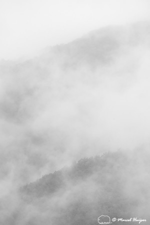 Fall colors and fog, Great Smoky Mountains, North Carolina, USA