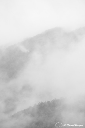 Fall colors and fog, Great Smoky Mountains, North Carolina, USA