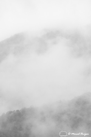 Fall colors and fog, Great Smoky Mountains, North Carolina, USA