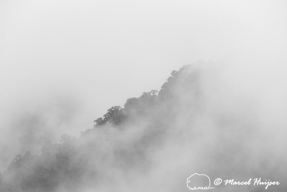 Fall colors and fog, Great Smoky Mountains, North Carolina, USA
