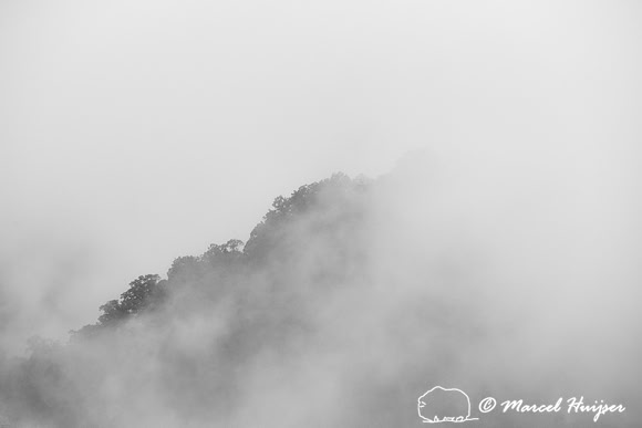 Fall colors and fog, Great Smoky Mountains, North Carolina, USA