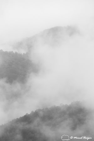 Fall colors and fog, Great Smoky Mountains, North Carolina, USA