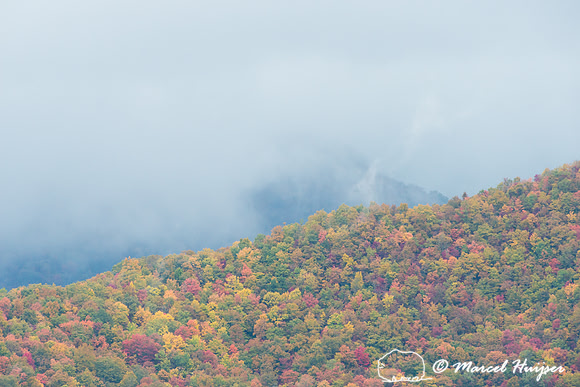 Fall colors and fog, Great Smoky Mountains, North Carolina, USA
