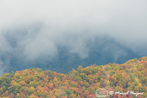 Fall colors and fog, Great Smoky Mountains, North Carolina, USA