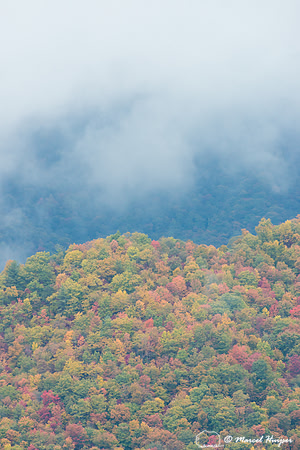 Fall colors and fog, Great Smoky Mountains, North Carolina, USA