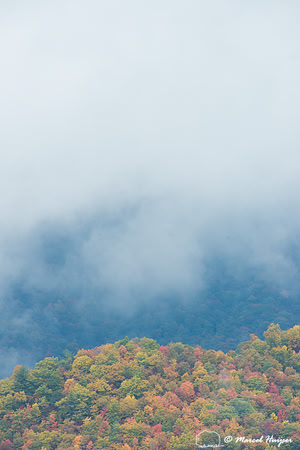 Fall colors and fog, Great Smoky Mountains, North Carolina, USA