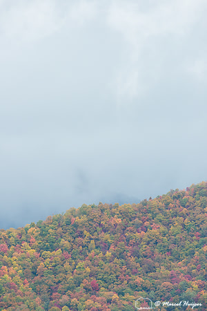 Fall colors and fog, Great Smoky Mountains, North Carolina, USA