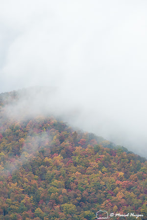 Fall colors and fog, Great Smoky Mountains, North Carolina, USA
