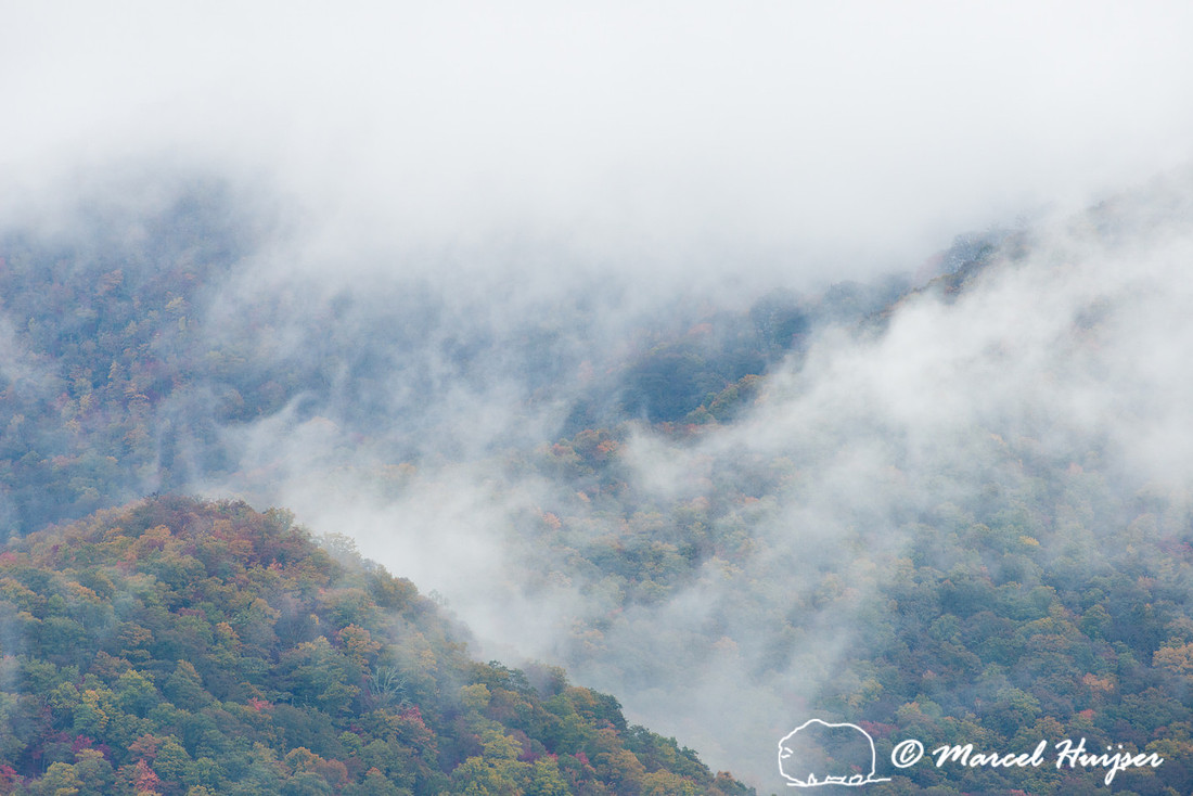 Fall colors and fog, Great Smoky Mountains, North Carolina, USA