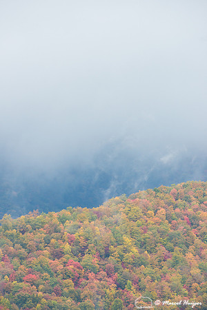 Fall colors and fog, Great Smoky Mountains, North Carolina, USA