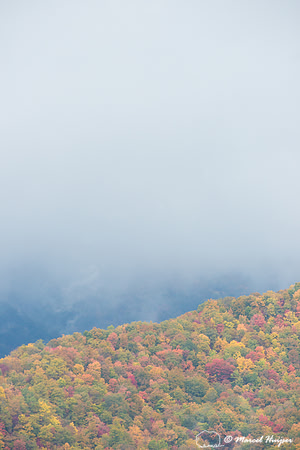 Fall colors and fog, Great Smoky Mountains, North Carolina, USA