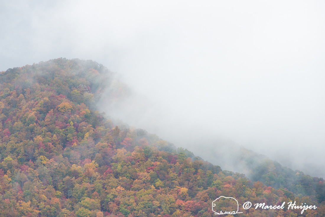 Fall colors and fog, Great Smoky Mountains, North Carolina, USA
