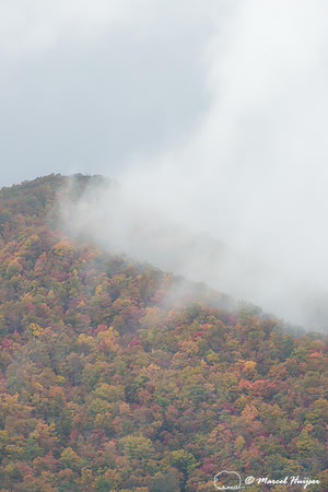 Fall colors and fog, Great Smoky Mountains, North Carolina, USA