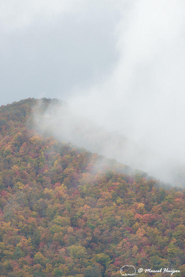 Fall colors and fog, Great Smoky Mountains, North Carolina, USA