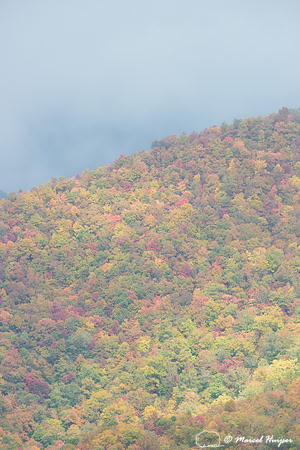 Fall colors and fog, Great Smoky Mountains, North Carolina, USA