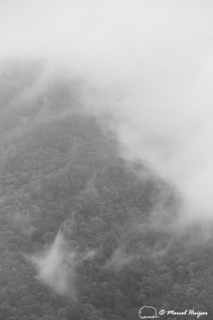 Fall colors and fog, Great Smoky Mountains, North Carolina, USA