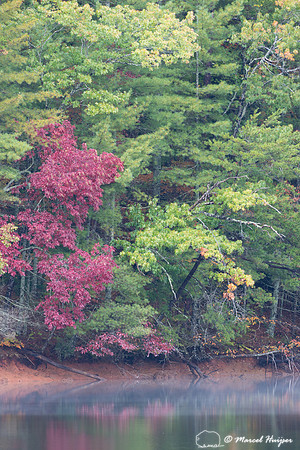Fall colors and fog, Great Smoky Mountains, North Carolina, USA