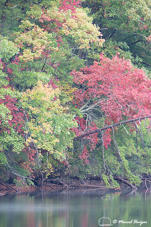Fall colors and fog, Great Smoky Mountains, North Carolina, USA