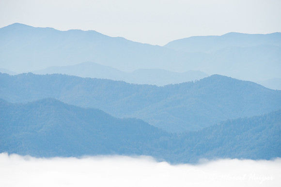 Fall colors and fog, Great Smoky Mountains, North Carolina, USA