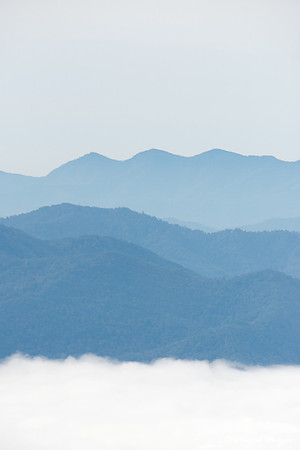 Fall colors and fog, Great Smoky Mountains, North Carolina, USA