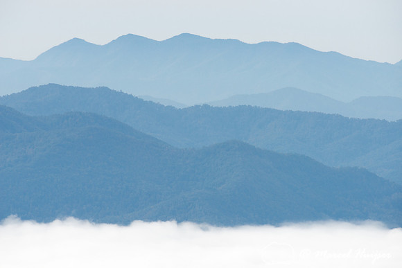 Fall colors and fog, Great Smoky Mountains, North Carolina, USA