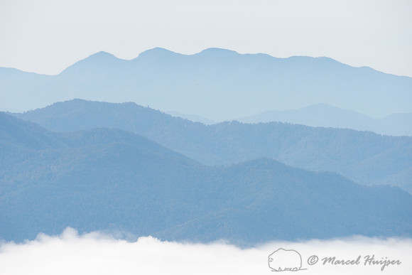 Fog and blue mountain ridges, Great Smoky Mountains, North Carol