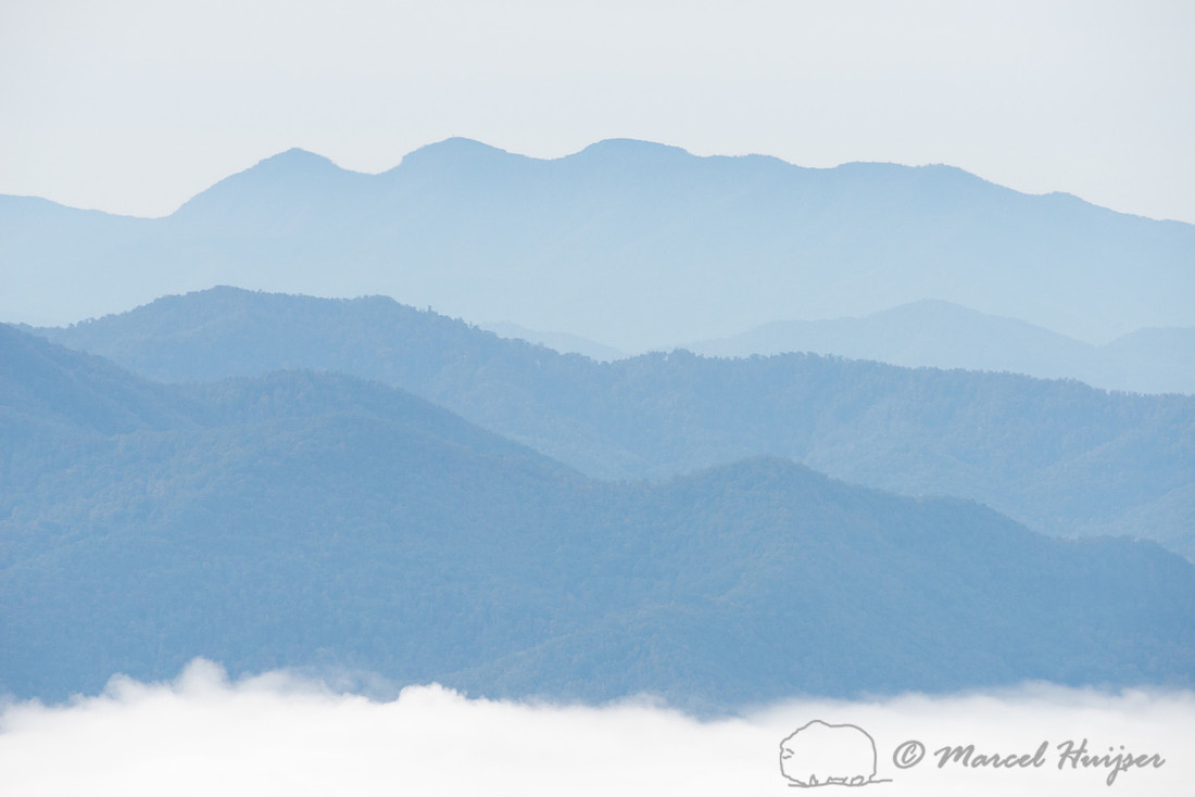 Fog and blue mountain ridges, Great Smoky Mountains, North Carol