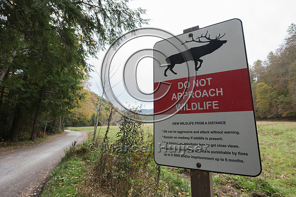 Warning sign for elk (Cervus canadensis), Cataloochee Valley, Gr