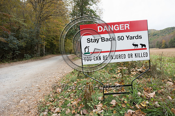 Warning sign for elk (Cervus canadensis), Cataloochee Valley, Gr
