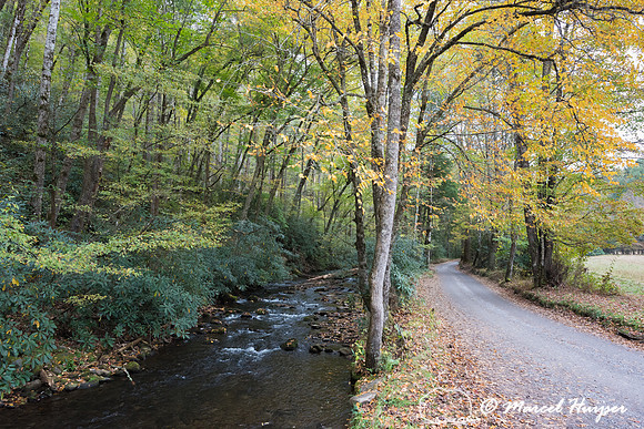 Creek and gravel road, Cataloochee Valley, Great Smoky Mountains