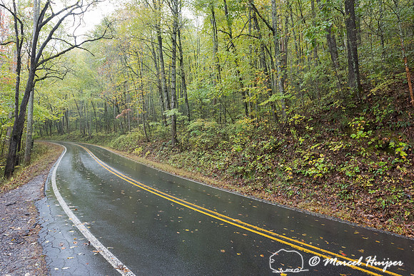 Road, Cataloochee Valley, Great Smoky Mountains National Park, N