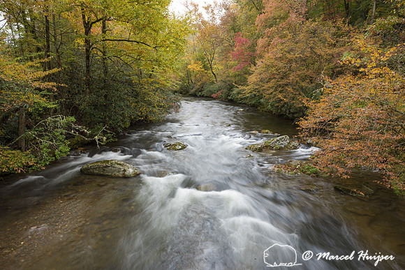 River in forest with fall colors, Tow String Road, Great Smokey