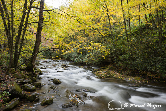 River in forest with fall colors, Great Smokey Mountains Nationa