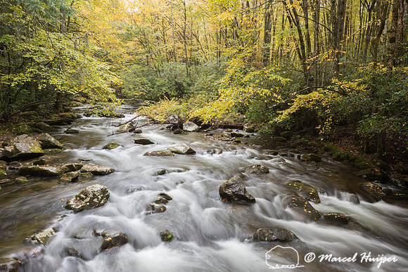 River in forest with fall colors, Kephartprong trail, Great Smok