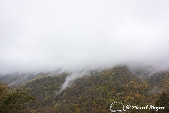 Fog covered slope with fall colors,  Great Smokey Mountains Nati