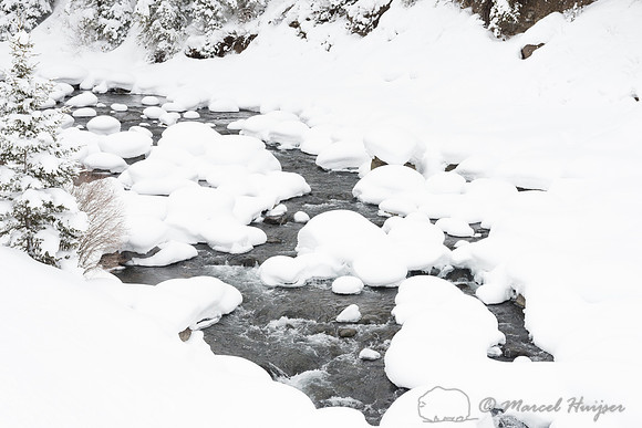 Soda Butte Creek in winter near Round Prairie, Yellowstone Natio