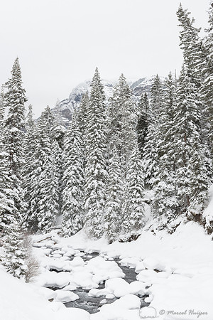 Soda Butte Creek in winter near Round Prairie, Yellowstone Natio