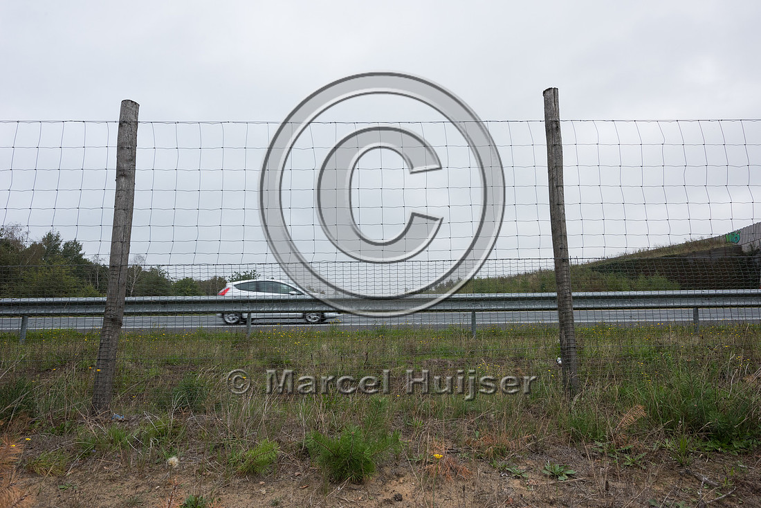 Wildlife fence for large mammals and medium sized mammals (e.g.