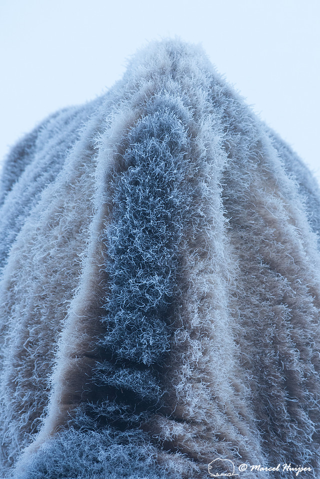 Icy bison (Bison bison) neck and back, Wyoming, USA