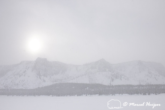 Winter sun along Madison River, Yellowstone National Park, Wyomi