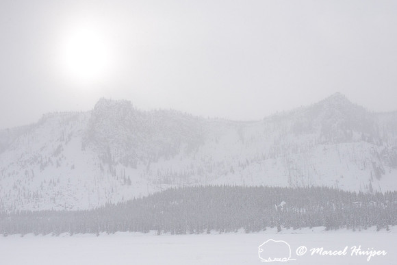 Winter sun along Madison River, Yellowstone National Park, Wyomi
