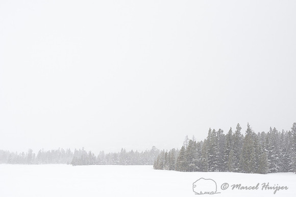 Fountain Flats in winter, Yellowstone National Park, Wyoming, US